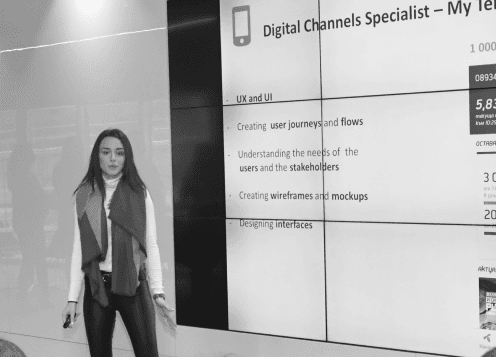 Telenor project example